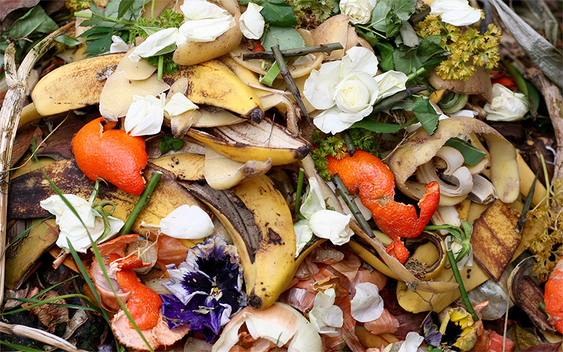 5 Ways To Cut Down On Post-Thanksgiving Food Scraps | Sierra Club